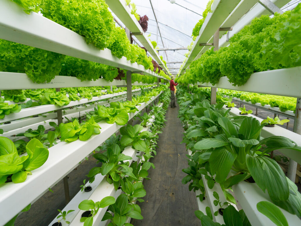 Vertical farming