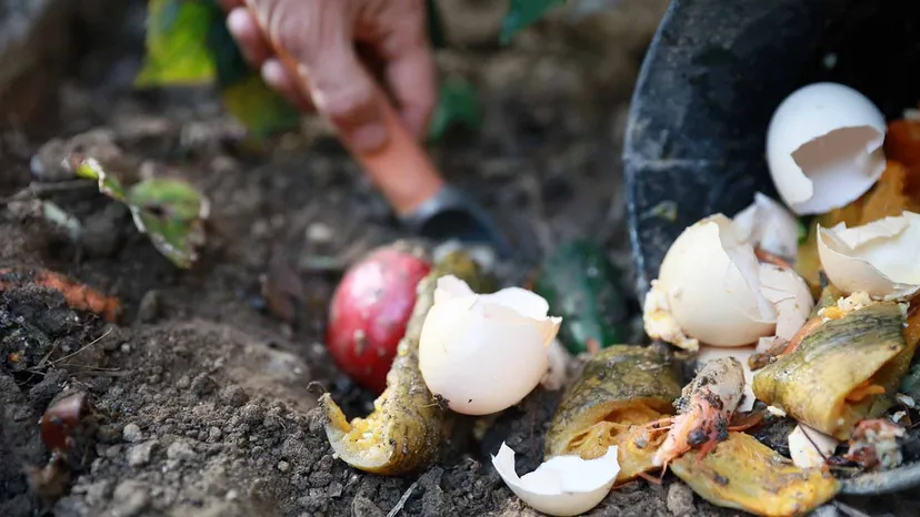 gardening Compost